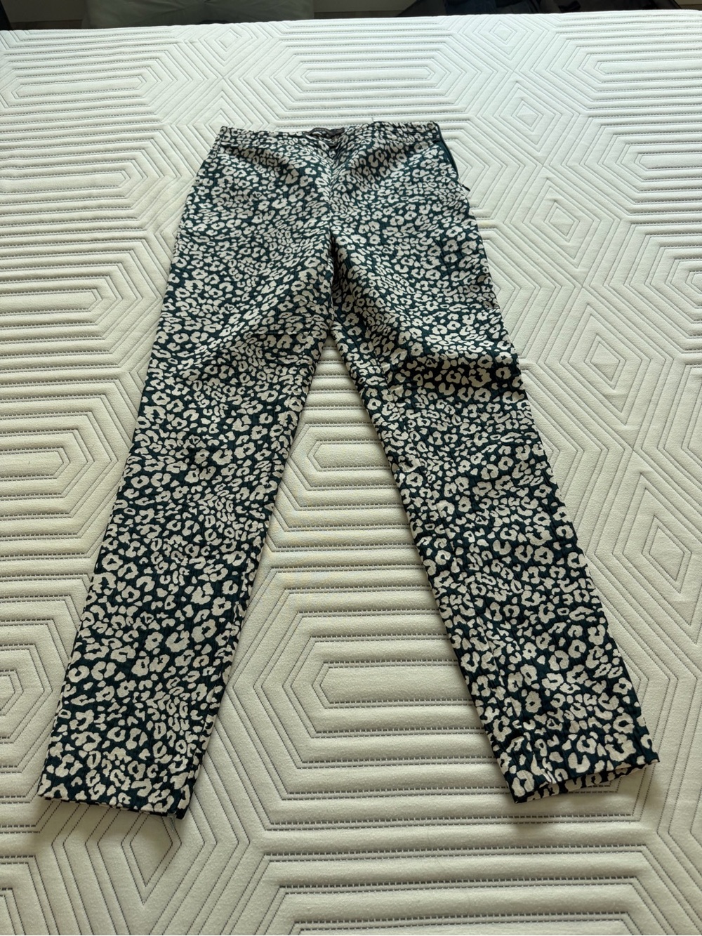 Zara Leopard-Print Skinny Pants in Dark Green and White